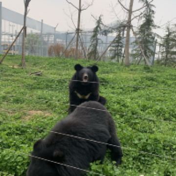 評論圖片 6