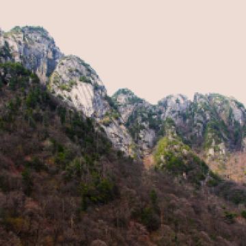 評論圖片 6