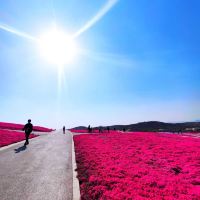 評論圖片 2