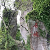 評論圖片 6