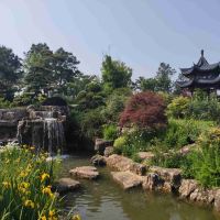 評論圖片 4