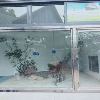 評論圖片 6