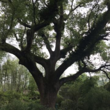 評論圖片 4