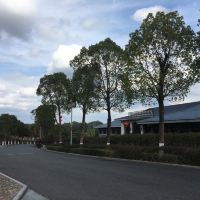 評論圖片 1