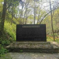 評論圖片 8