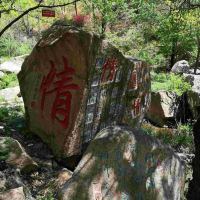評論圖片 3