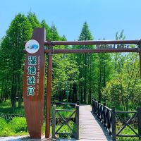 評論圖片 9