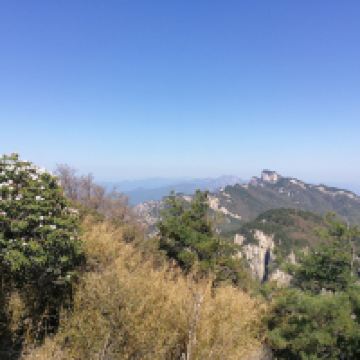評論圖片 4