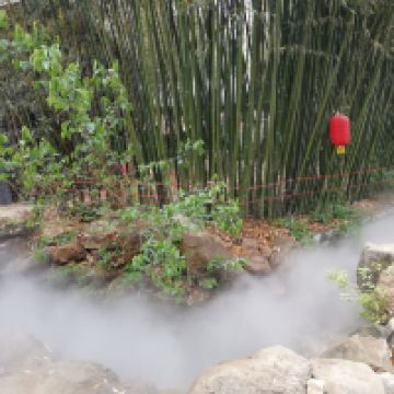 評論圖片 8