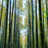 評論圖片 8
