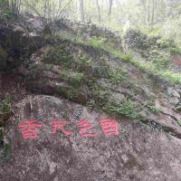 評論圖片 4
