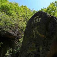 評論圖片 4