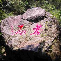評論圖片 7
