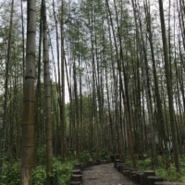評論圖片 2