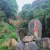 評論圖片 1