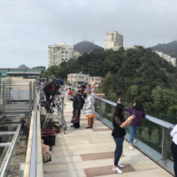 評論圖片 5