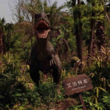 評論圖片 7