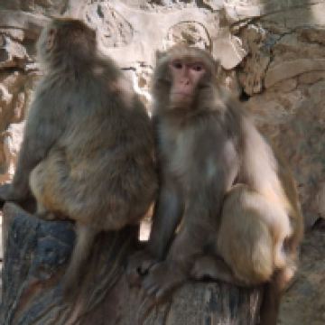 評論圖片 5
