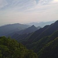 評論圖片 5
