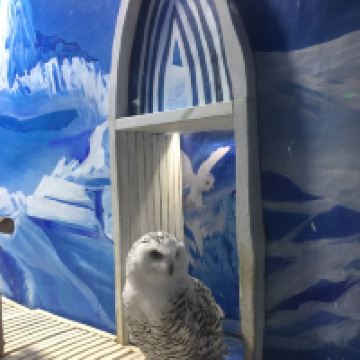 評論圖片 5