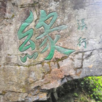 評論圖片 2