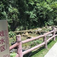 評論圖片 8