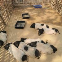 評論圖片 2