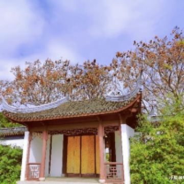 評論圖片 7