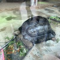 評論圖片 9