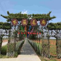 評論圖片 8