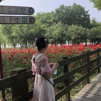 評論圖片 2