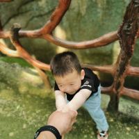 評論圖片 5