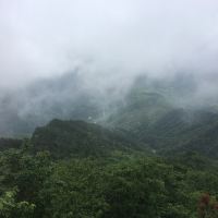 評論圖片 1