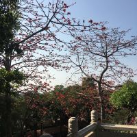 評論圖片 4