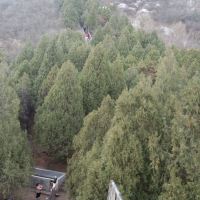 評論圖片 7