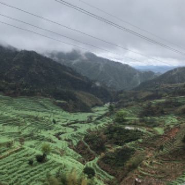 評論圖片 5