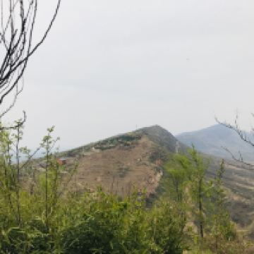 評論圖片 6