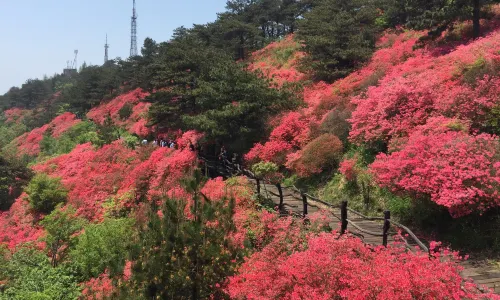 Guifeng Mountain