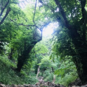 評論圖片 7