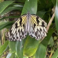 評論圖片 2