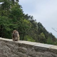 評論圖片 1
