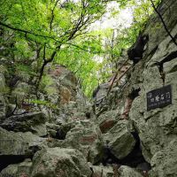 評論圖片 9