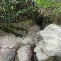 評論圖片 2
