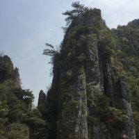 評論圖片 2