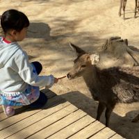 評論圖片 3