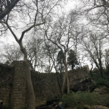 評論圖片 2
