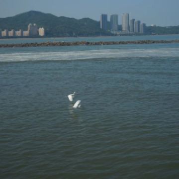 評論圖片 2
