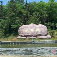 評論圖片 5