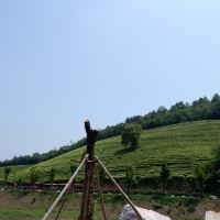 評論圖片 5