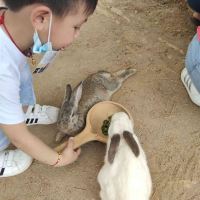評論圖片 6